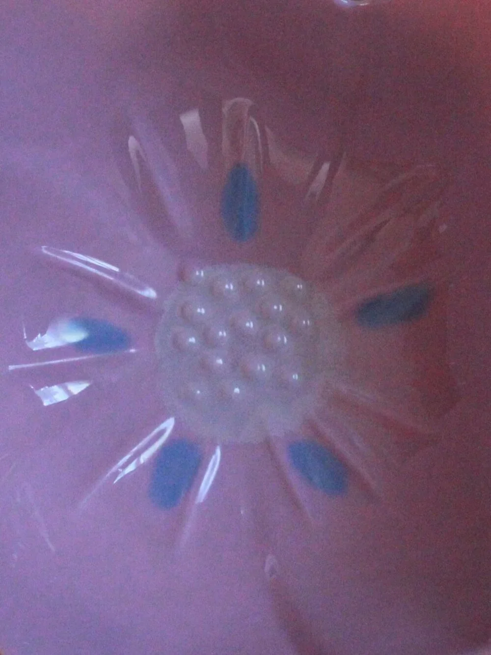 Pair of Spritz Flower Themed Plastic Bowls